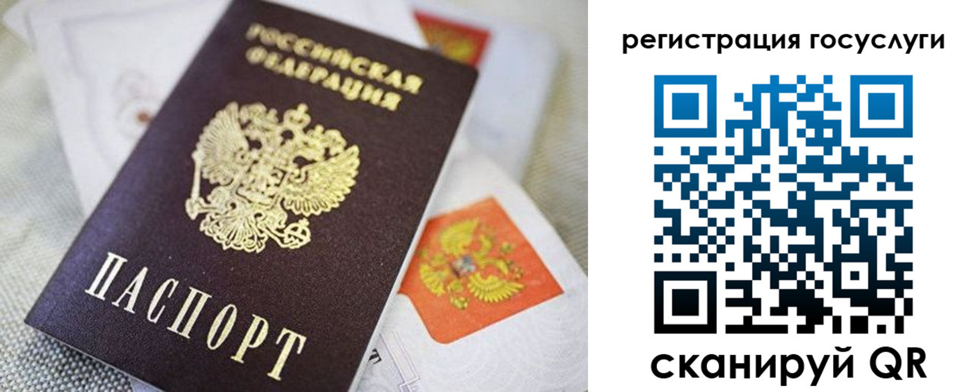 прописка паспорт в Пестово